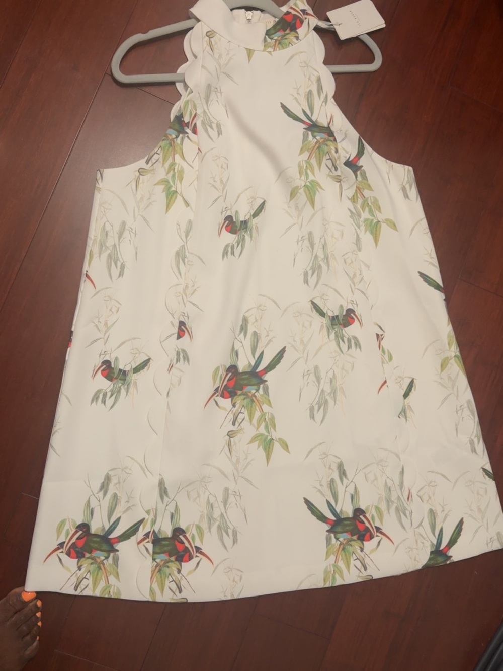 Ted Baker London White Floral & Bird Halter Camisole